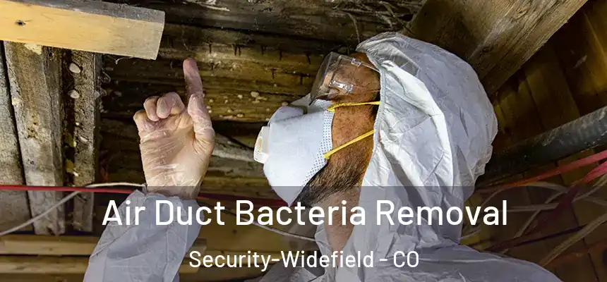 Air Duct Bacteria Removal Security-Widefield - CO