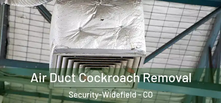 Air Duct Cockroach Removal Security-Widefield - CO