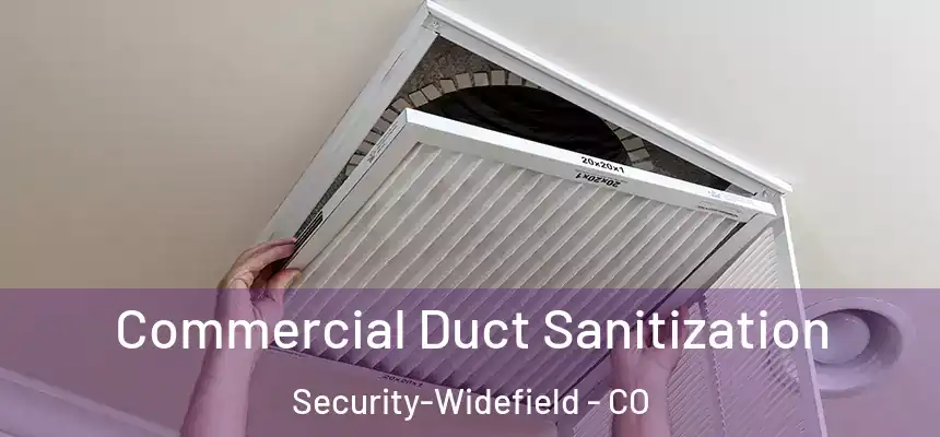  Commercial Duct Sanitization Security-Widefield - CO