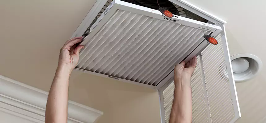 Preventive Cockroach-Proofing for Ducts in Security-Widefield