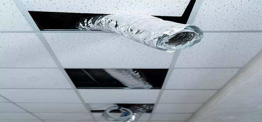 Our Air Duct Pet Hair Removal Services in Security-Widefield, CO