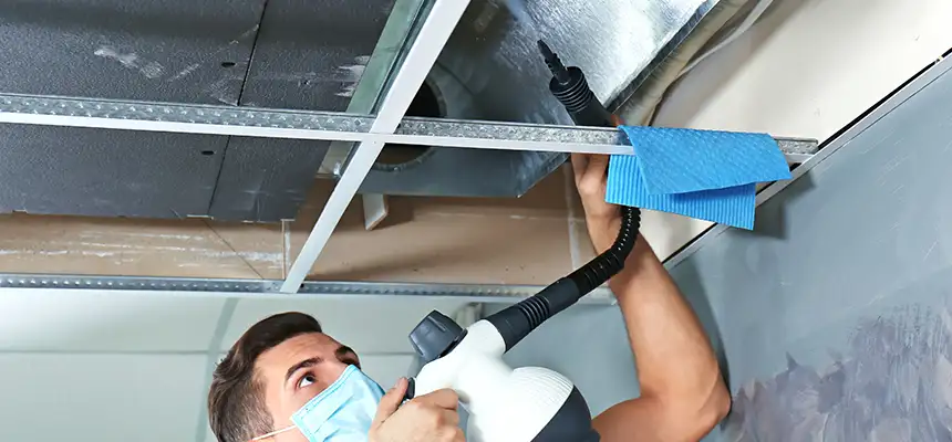 Our Air Duct Rodent Removal Services in Security-Widefield, CO
