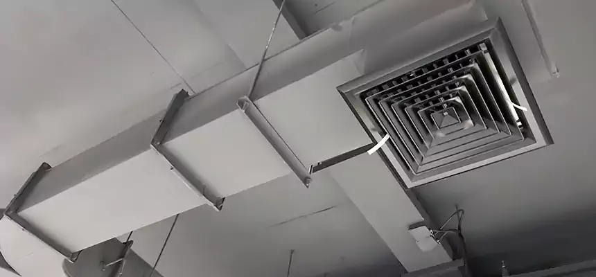 Restorative Allergy Relief Vent Cleaning – Coil, Blower & Housing Detail in Security-Widefield