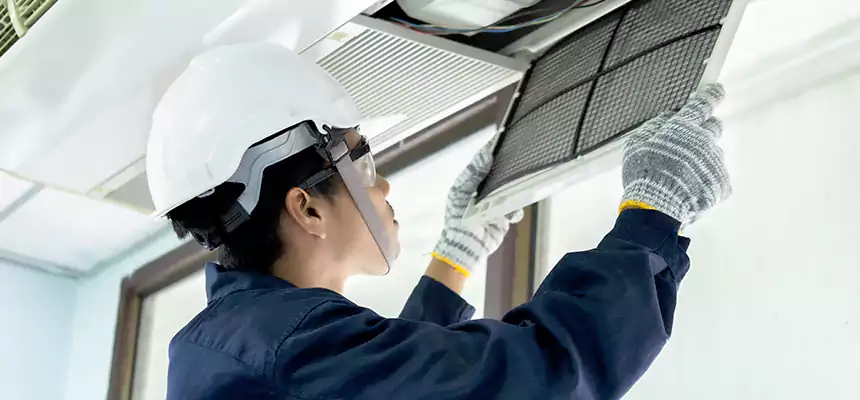 Our Mold & Mildew Removal from Air Ducts Services in Security-Widefield, CO