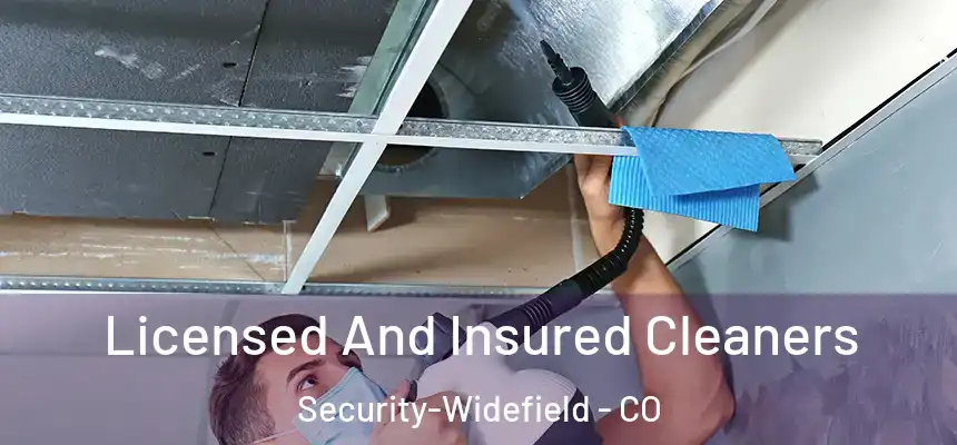 Licensed And Insured Cleaners Security-Widefield - CO