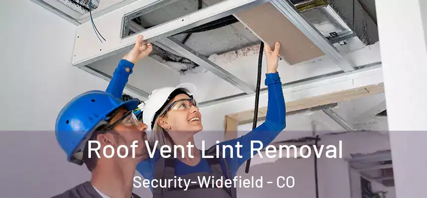  Roof Vent Lint Removal Security-Widefield - CO