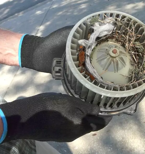 About Air Duct Mice Removal in Security-Widefield, CO