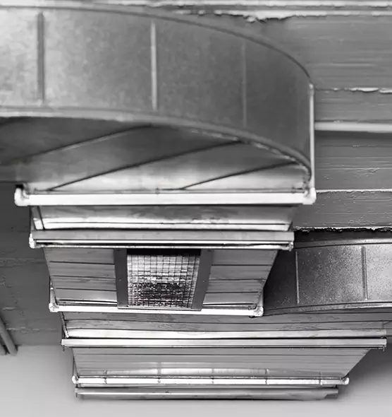 Professional Air Duct Pest Removal in Security-Widefield, CO