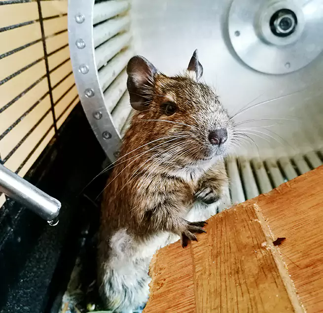 Why Homeowners & Businesses Trust Us Security-Widefield, CO