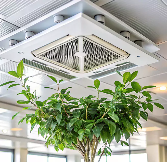 Why Homeowners & Businesses Trust Us in Security-Widefield, CO